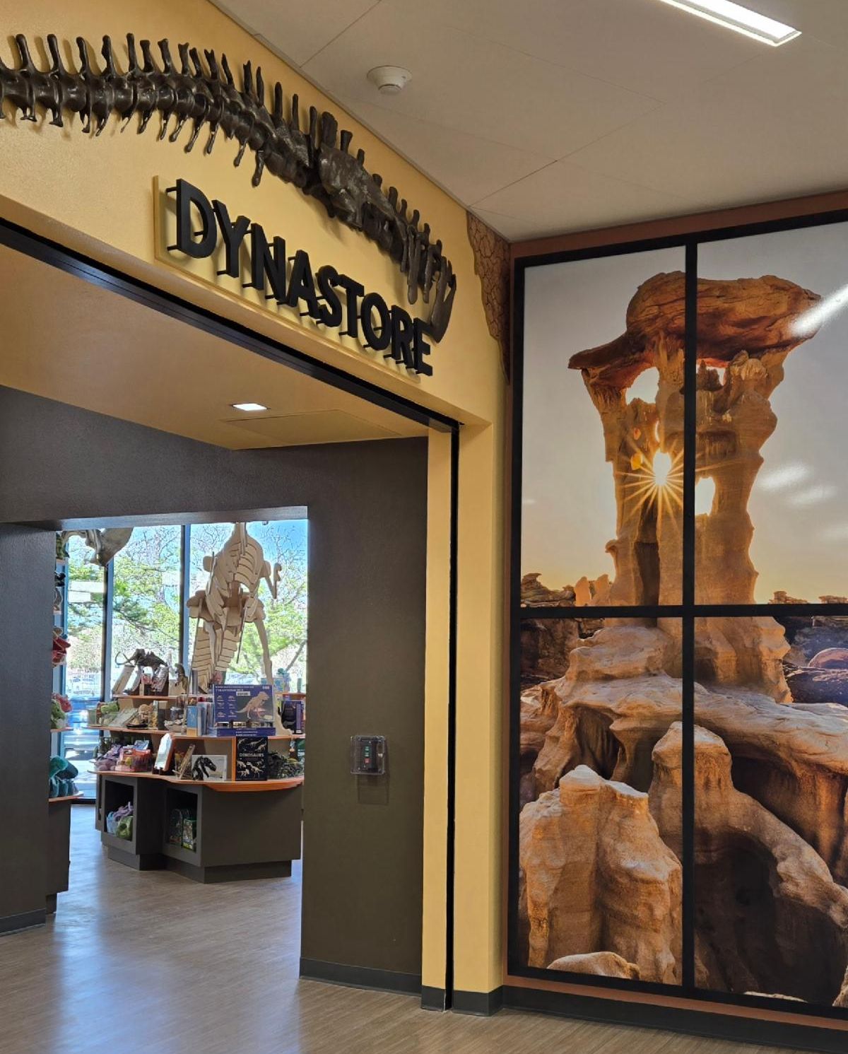 Natureworks Discovery Store featuring a display of interesting rocks