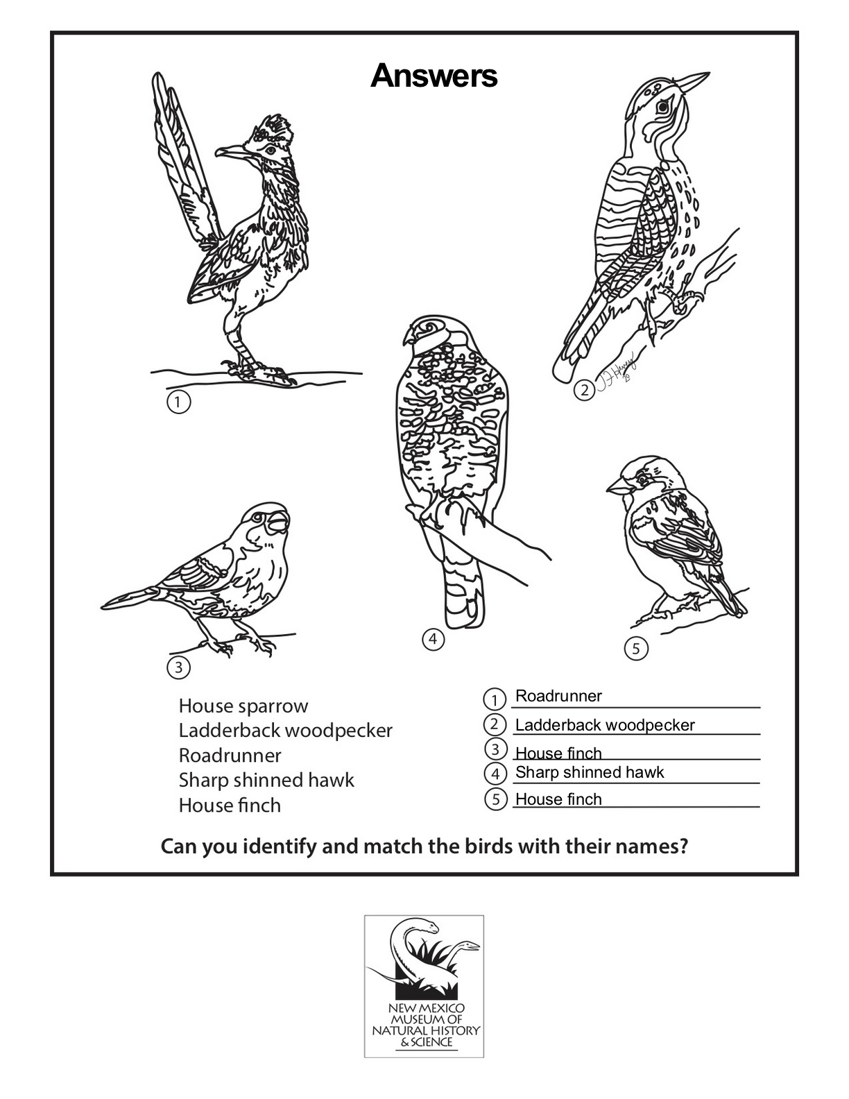 Answer Guide for Bird Puzzle