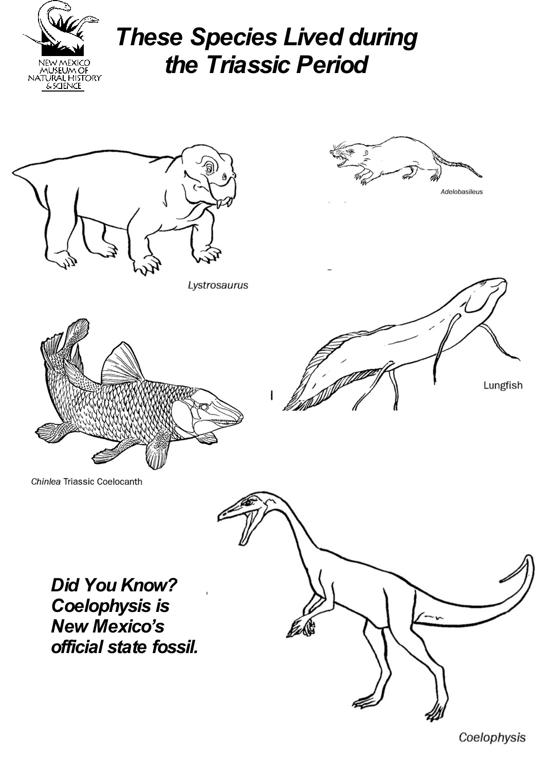 Triassic Period  Coloring Sheet