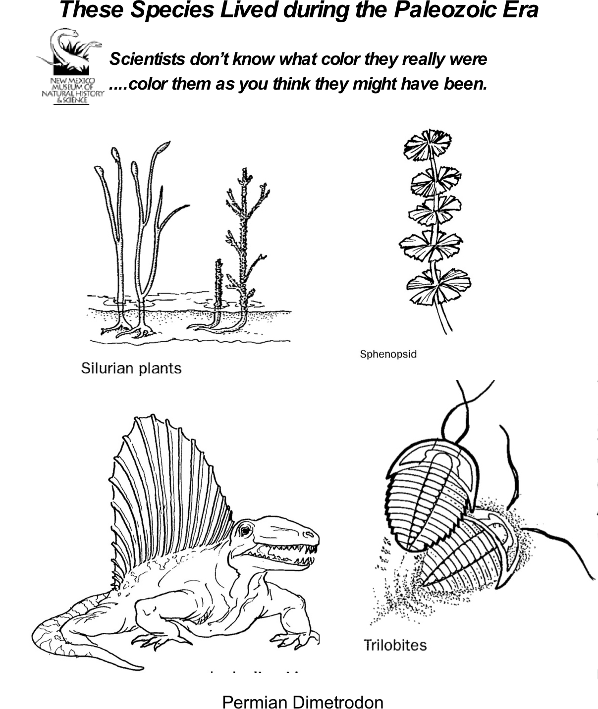 Paleozoic Coloring Page