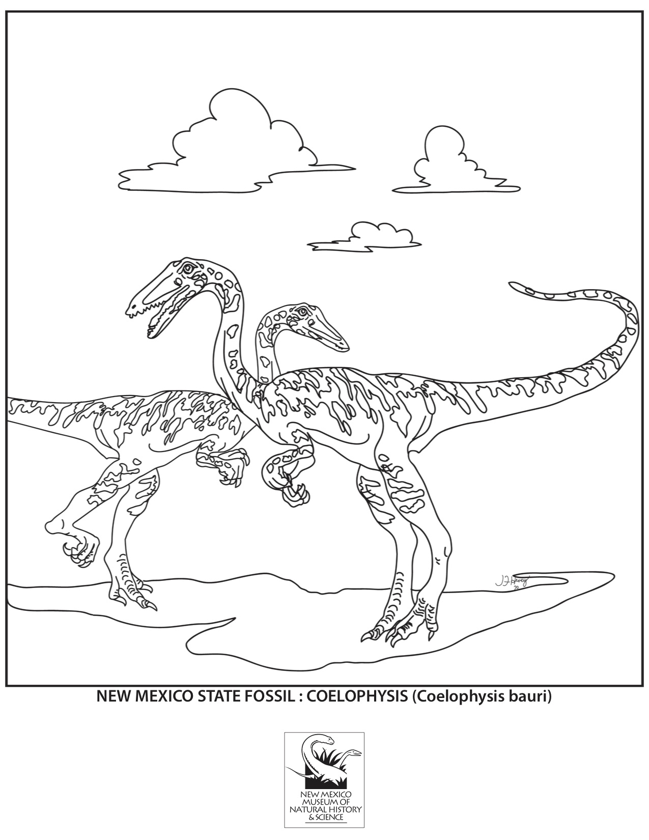 Fossil Coloring Page