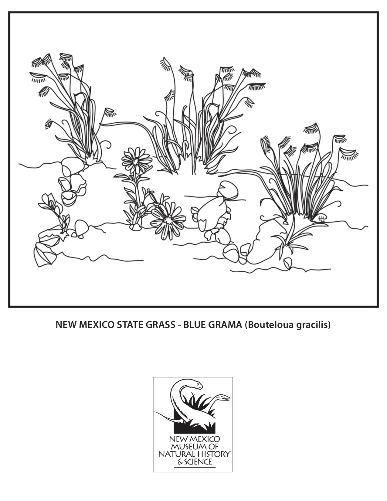 Grass Coloring Page